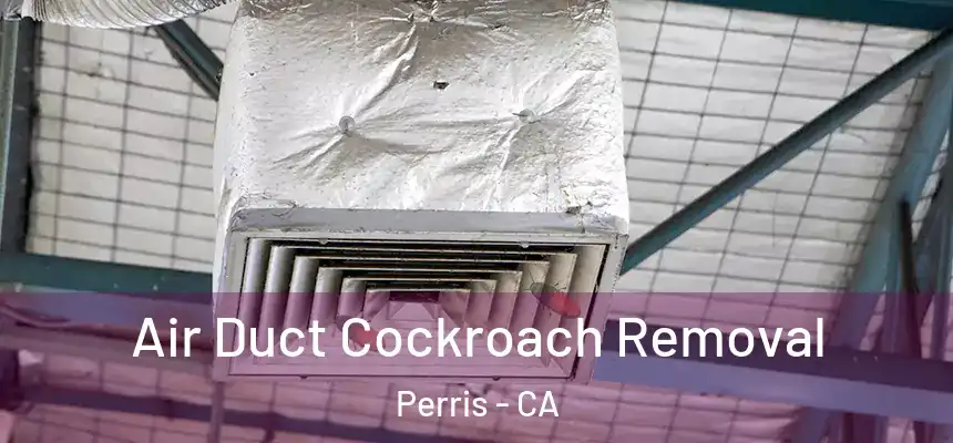 Air Duct Cockroach Removal Perris - CA