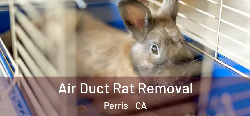  Air Duct Rat Removal Perris - CA