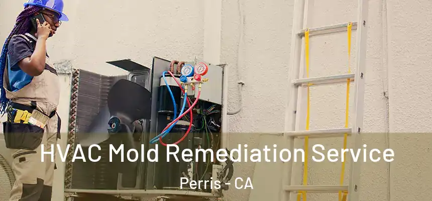 HVAC Mold Remediation Service Perris - CA