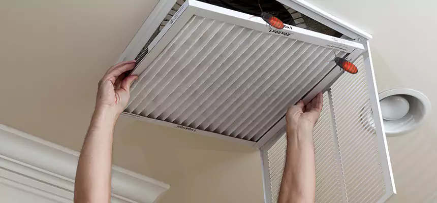 Preventive Cockroach-Proofing for Ducts in Perris