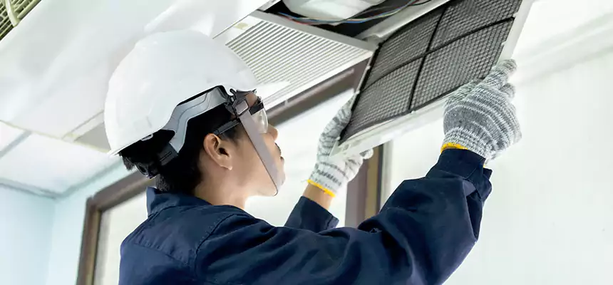 Our Mold & Mildew Removal from Air Ducts Services in Perris, CA