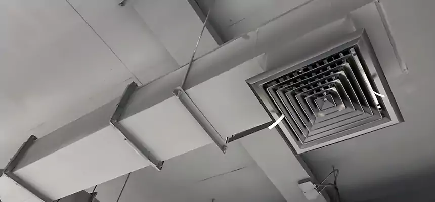 Our Rodent Droppings In Vents Services in Perris, CA