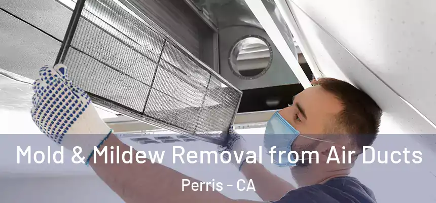 Mold & Mildew Removal from Air Ducts Perris - CA