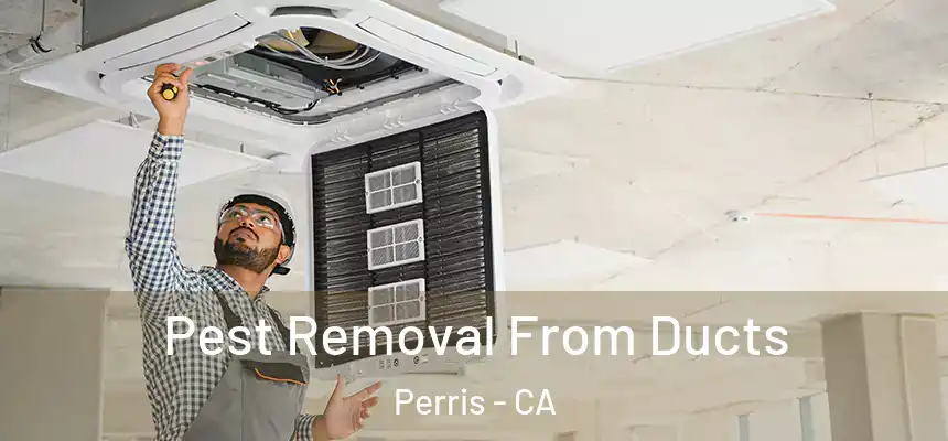  Pest Removal From Ducts Perris - CA