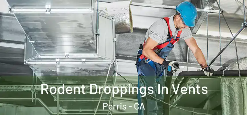  Rodent Droppings In Vents Perris - CA