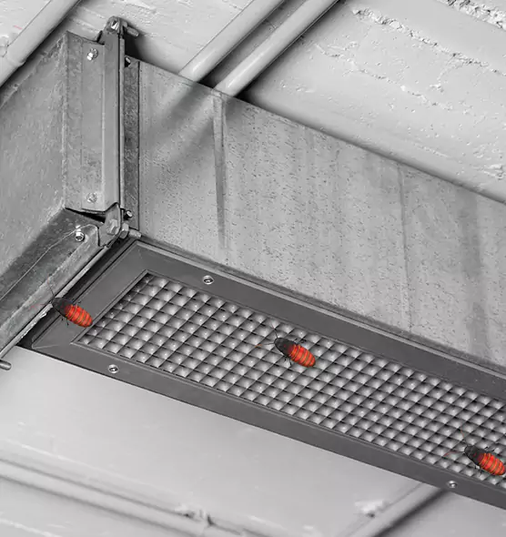 About Air Duct Cockroach Removal in Perris, CA