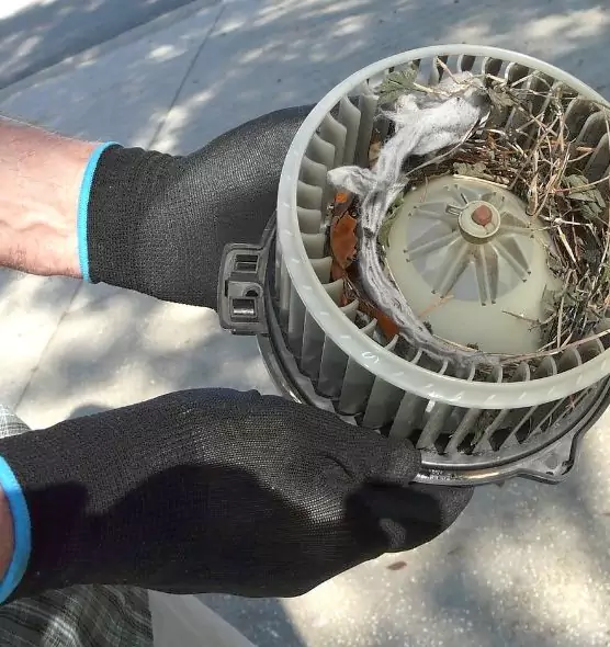 About Air Duct Mice Removal in Perris, CA