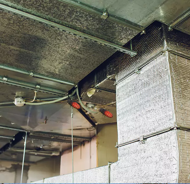 Why Homeowners & Businesses Trust Us in Perris, CA?