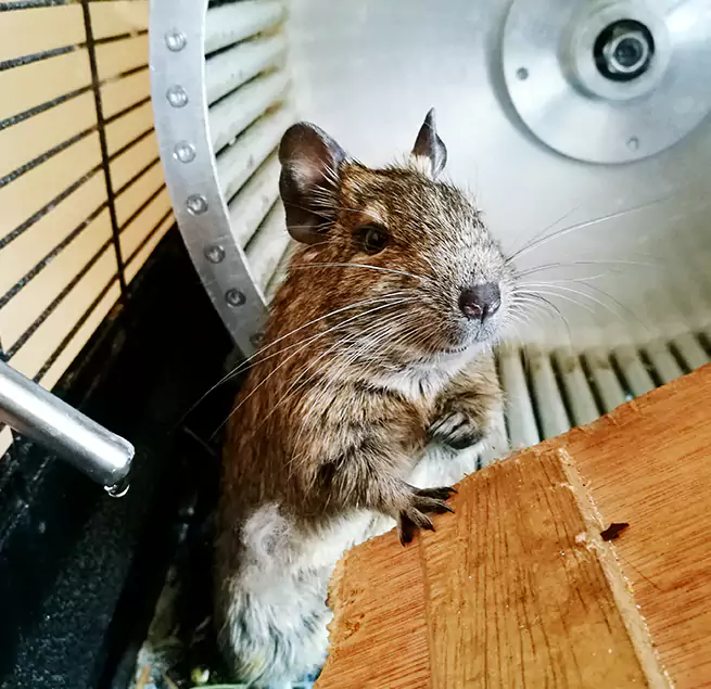 Why Homeowners & Businesses Trust Us Perris, CA?