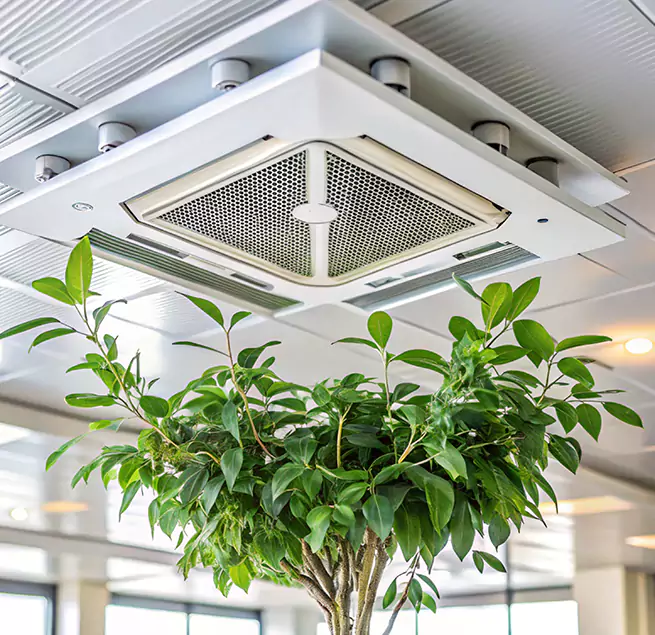 Why Homeowners & Businesses Trust Us in Perris, CA?